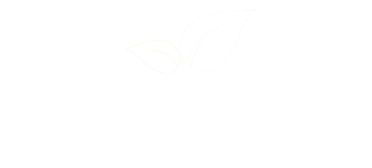 Green SEO